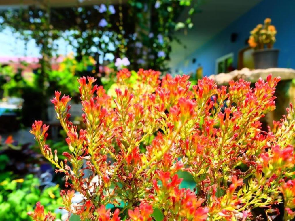 רנונג Rommai Rimnaam Resort מראה חיצוני תמונה